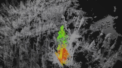 pix4d-projects-agriculture-sequoia-3d-ndvi-01