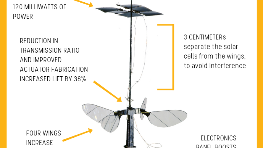 robobee_chart